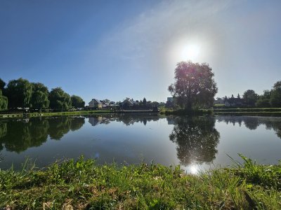 Kultura, Tradycja... i Placki! 2023